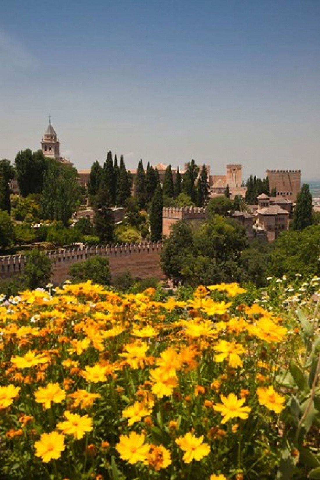 Spain Granada The Generalife gardens Alhambra grounds Canvas Art - Julie Eggers DanitaDelimont (25 x 38)
