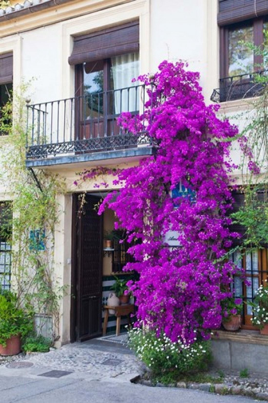 Spain Granada The entrance of Hotel America Canvas Art - Julie Eggers DanitaDelimont (25 x 38)