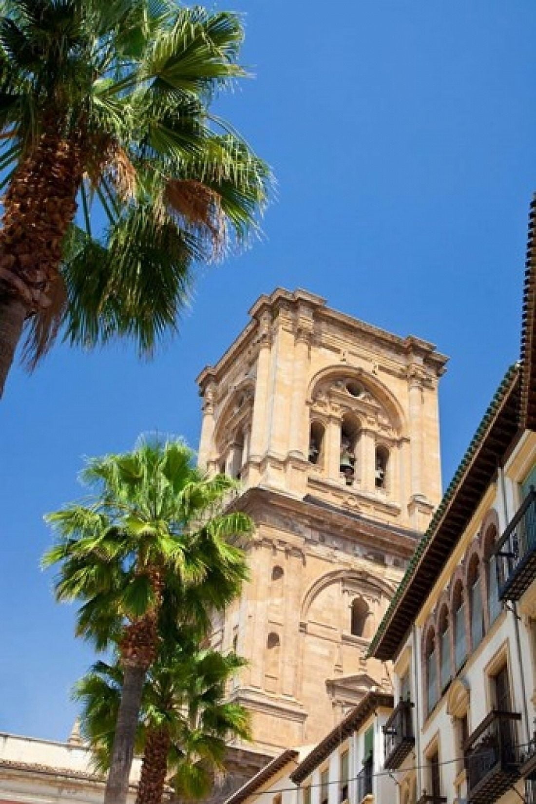 Spain Granada This is the bell tower of the Granada Cathedral Canvas Art - Julie Eggers DanitaDelimont (18 x 24)