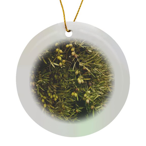 3drose, Spain, Jaen Province, Jaen-area, Olive Trees - Eu27 Wbi0876 - Walter Bibikow, Circle Porcelain Ornament