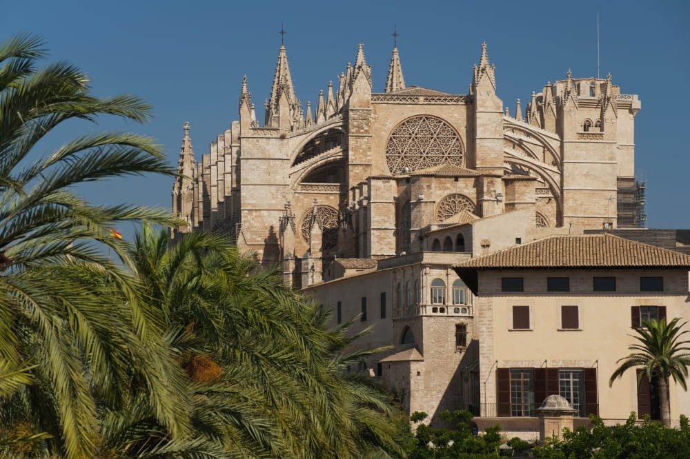 Spain Majorca Palm trees in Parc de la Mar leading to Cathedral Palma Canvas Art - Ian Cumming Design Pics (19 x 12)