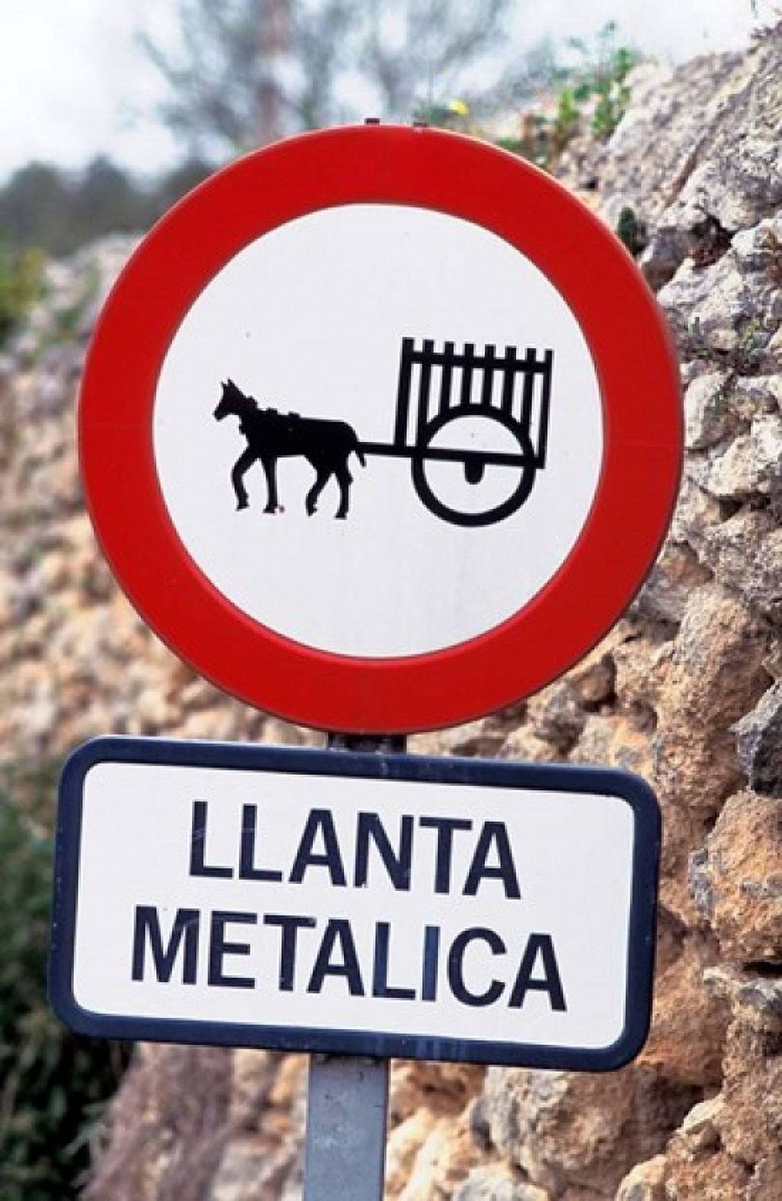 Spain Majorca Road Sign Canvas Art - David R Frazier DanitaDelimont (23 x 36)