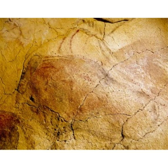 Spain Santillana Del Mar Altamira Caves Cave Paintings Prehistoric Art Poster Print - 18 x 24 in.