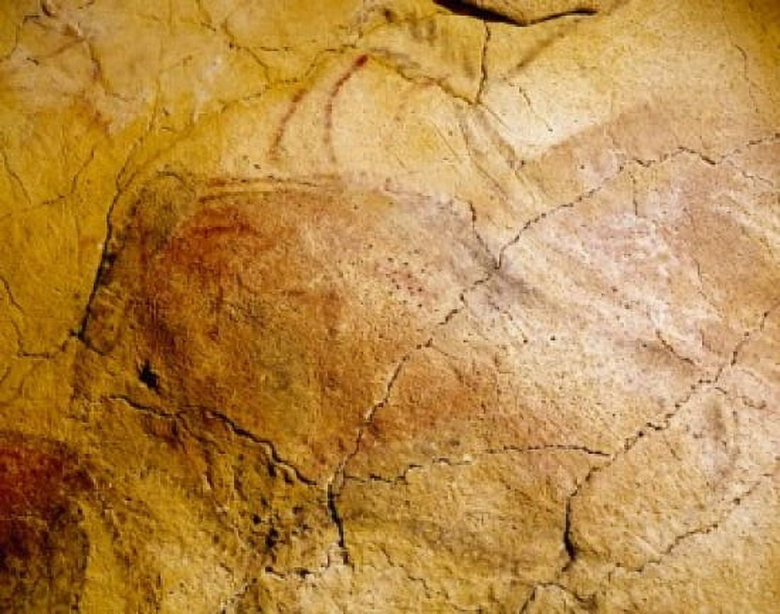 Spain Santillana del Mar Altamira Caves Cave Paintings Prehistoric Art Canvas Art - (18 x 24)