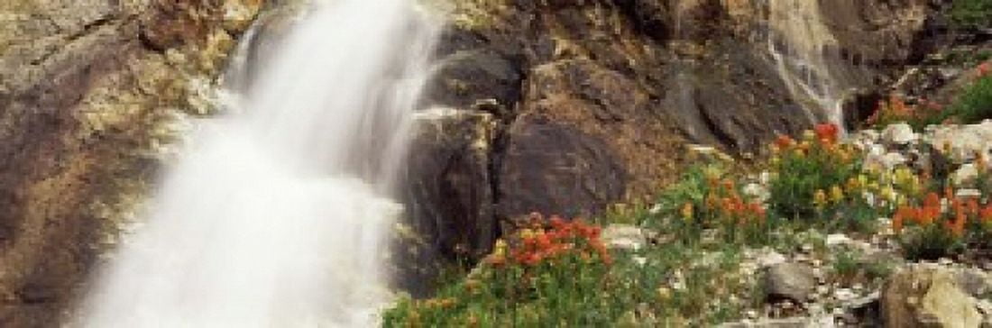 Spalding Falls Grand Teton National Park WY Canvas Art - Panoramic Images (18 x 6)