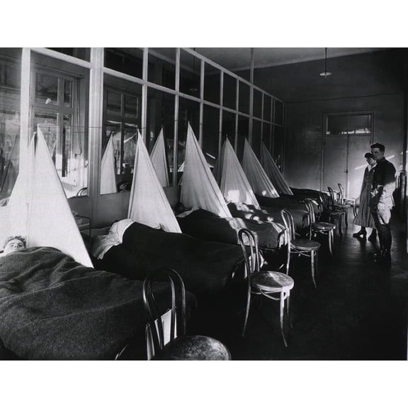 Spanish Flu Epidemic 1918-19. U. S. Army Camp Hospital At Aix-Les-Bain History (24 x 18)