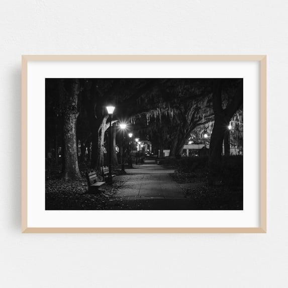 Spanish Moss B&W - Savannah Georgia Photography Black and White Nightlife Street Photography Nature Forest Scenic Architecture Oak Framed Wall Art Print 5 x 7 inches