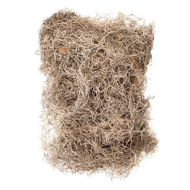 Spanish Moss Dry Bulk 4 lbs