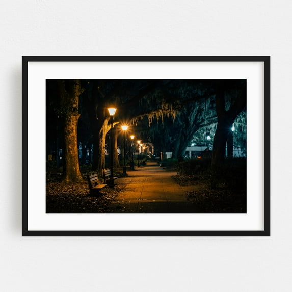 Spanish Moss - Savannah Georgia Photography Black Framed Wall Art Print 24 x 36 inches