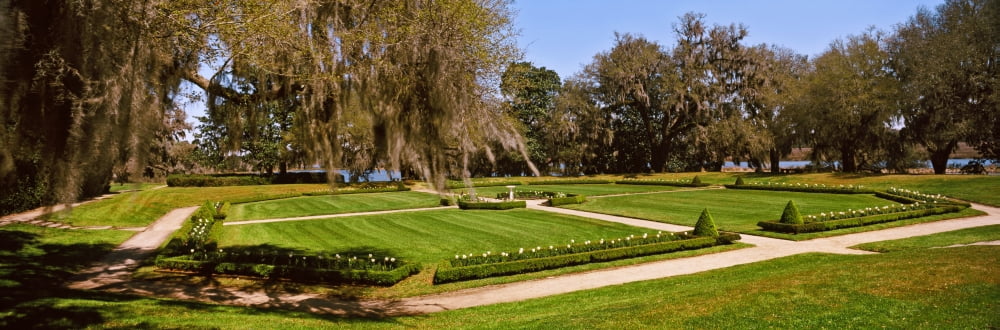 Spanish Moss covered trees in a garden Middleton Place Charleston South Carolina USA Canvas Art - Panoramic Images (27 x 9)