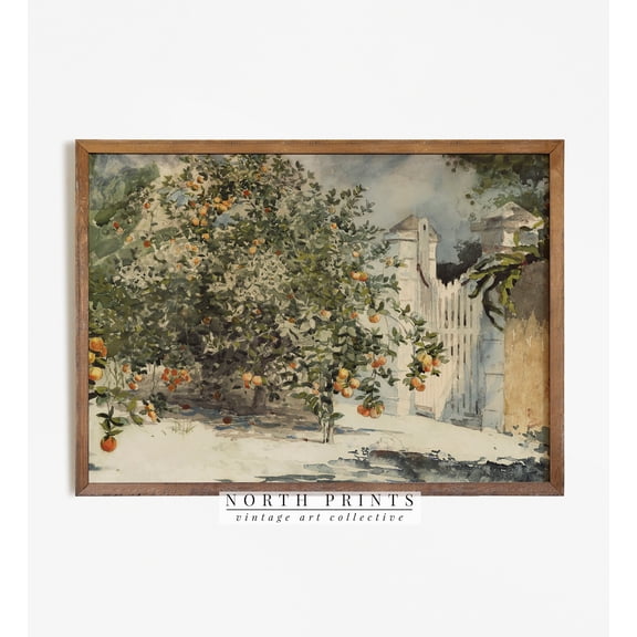 Spanish Orange Tree Kitchen Poster, Unframed Size 12x18