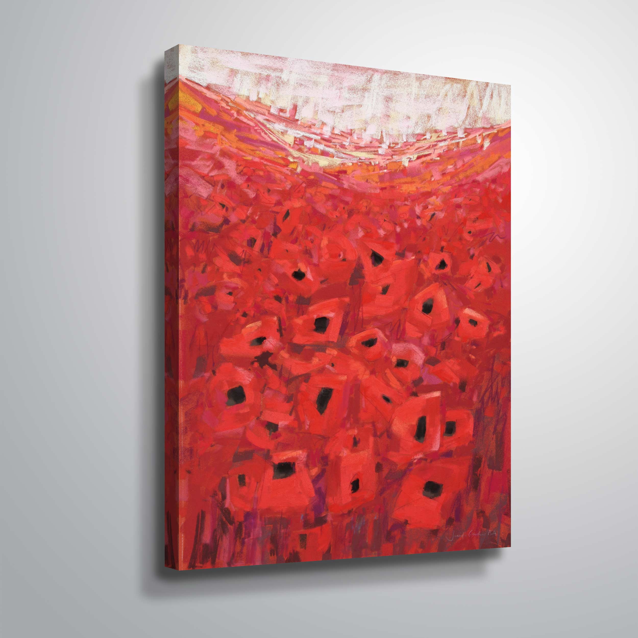 Spanish Poppies II