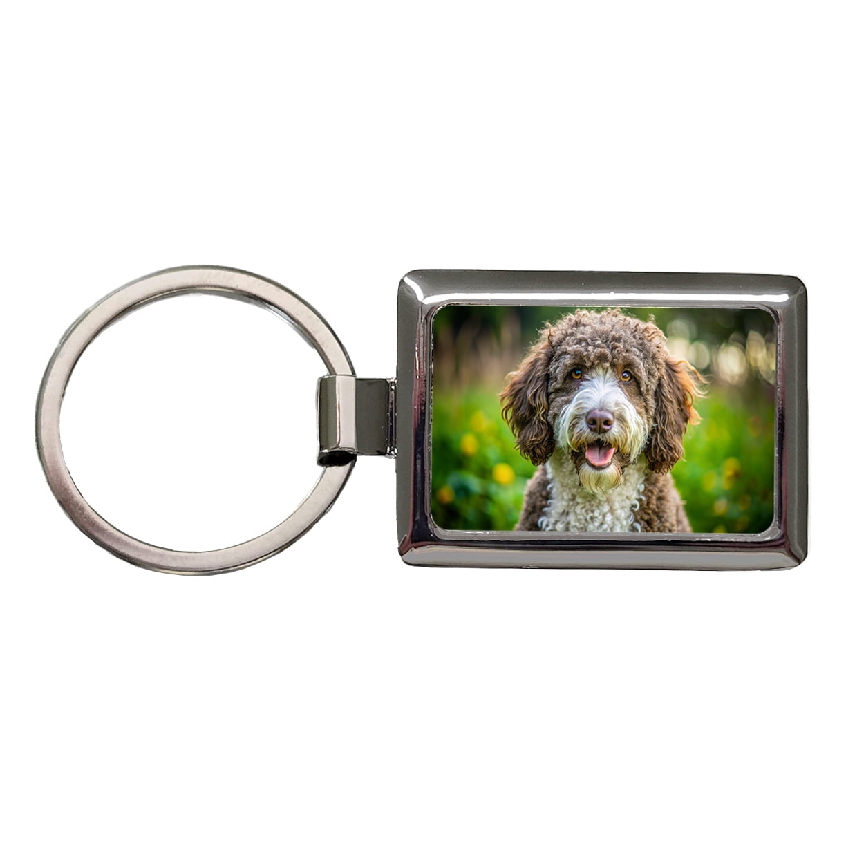 Spanish Water Dog Photo Metal Rectangle Keychain - Walmart.com