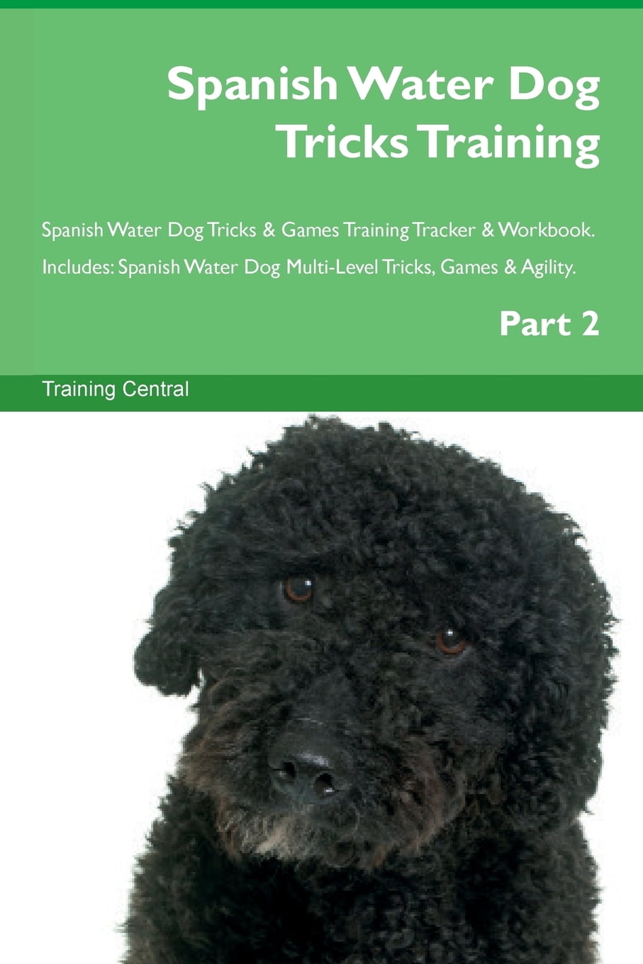 Spanish water dog training cheap
