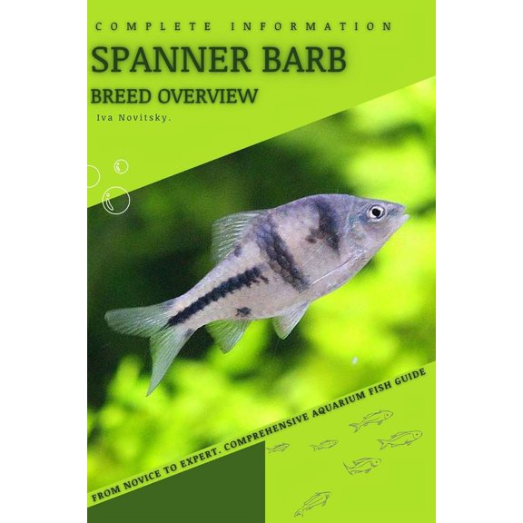 Spanner Barb : From Novice to Expert. Comprehensive Aquarium Fish Guide (Paperback)