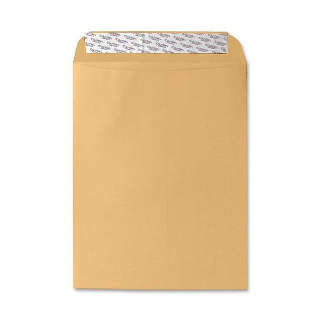 Sparco Catalog Envelope w/Remov Strip Plain 28Lb 10"x13" 250/BX Kft