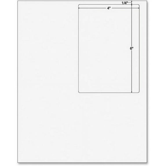 Sparco Laser, Inkjet Integrated Label Form 6" x 4" - 250 / Pack - White
