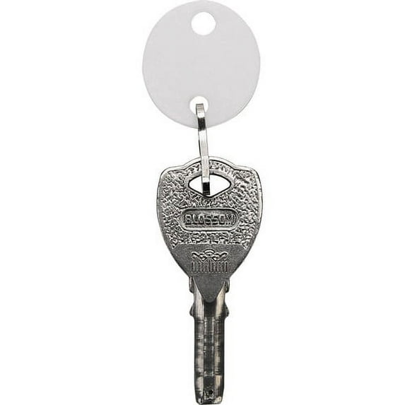Sparco Oval Key Tags - 0.75" Length x 1.10" Width - Oval - Hook Fastener - 20 / Pack - Plastic - White | Bundle of 10 Packs