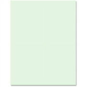 Sparco Premium-Grade Color Copy Paper -8 1/2" x 11" - 20 lb Basis Weight - 500 / Ream - Green