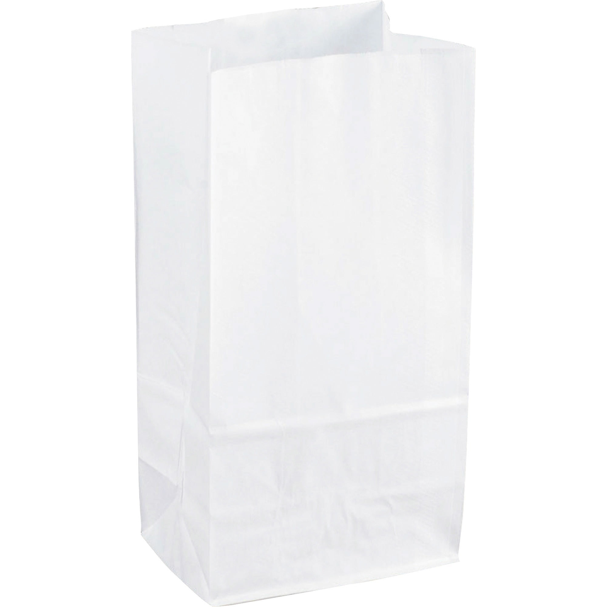 Sparco White Kraft Paper Bags - 6 Sparco White Kraft Paper Bags - 6