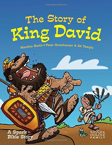 Pre Owned The Story Of King David A Spark Bible Story Spark Bible