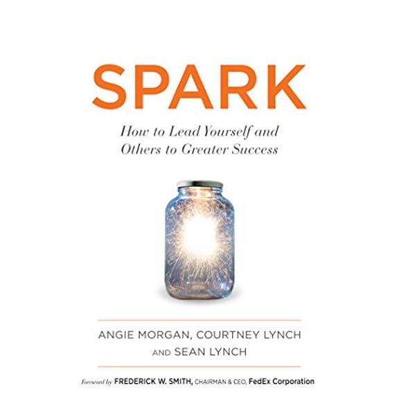 Pre-Owned Spark: How to Lead Yourself and Others to Greater Success (Hardcover) 0544716183 9780544716186