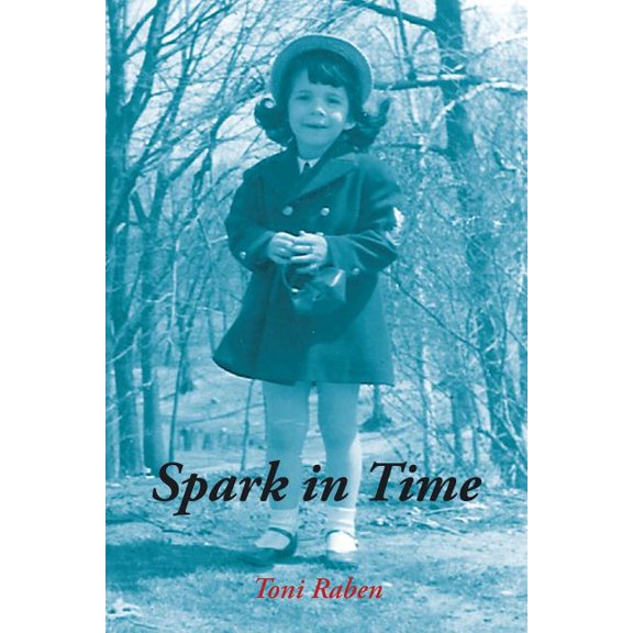 Spark in Time (Paperback)