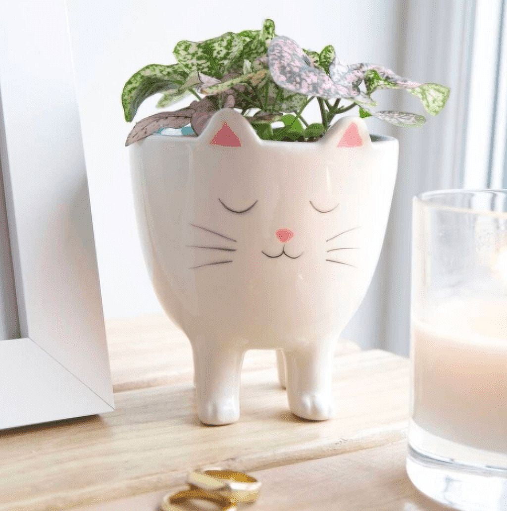 SparkDazzle 11.75” x 14.75” Standing Cat White Ceramic Animal Print Plant Planter