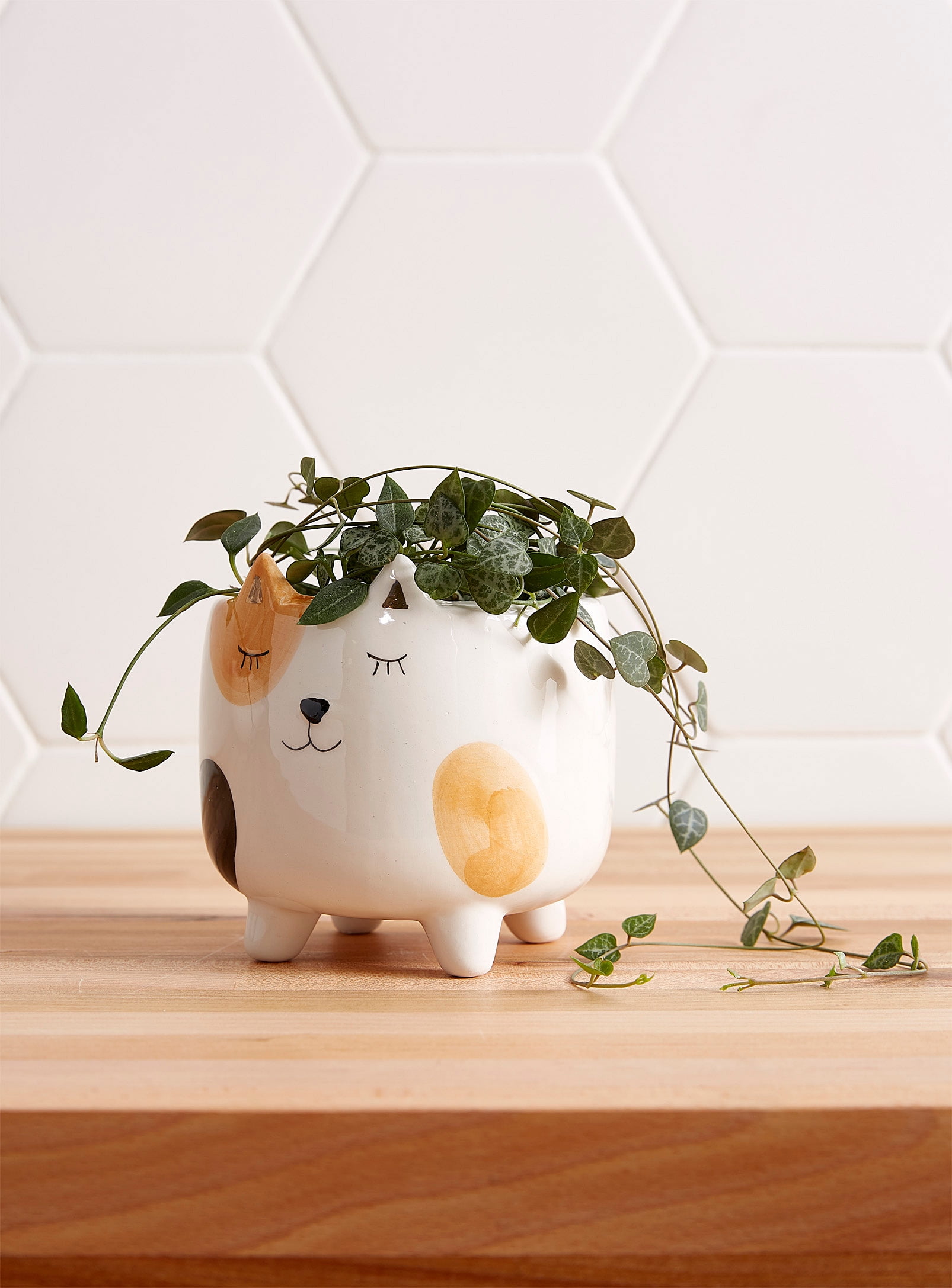 SparkDazzle 4" x 4" Spotted Cat White Ceramic Plant Planter
