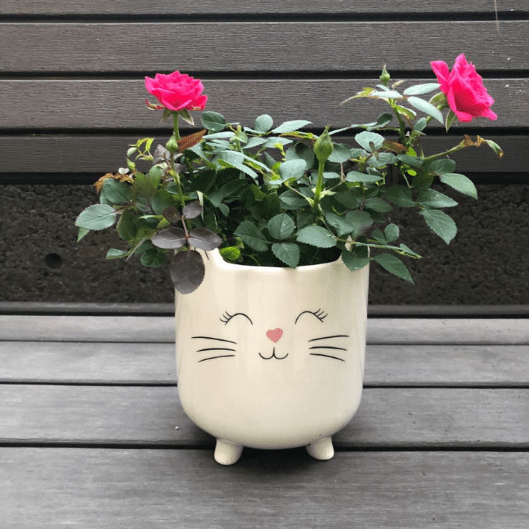 SparkDazzle 5'' x 6'' Round White Ceramics Cat Planter Pot for Succulents