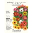 thumbnail image 1 of Sparkle Blend Iceplant Livingstone Daisy Seeds - 250 mg, 1 of 1