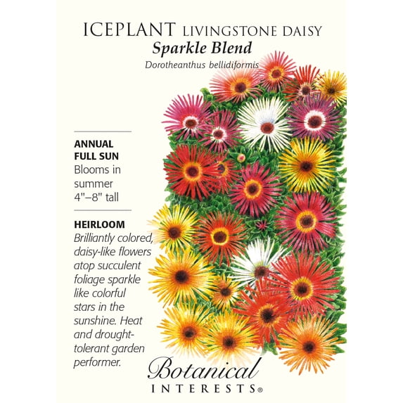 Sparkle Blend Iceplant Livingstone Daisy Seeds - 250 mg