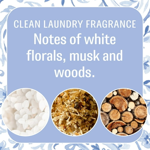 Paisley - Fresh Scents 2 Pack scented sachet - Small Places Collection