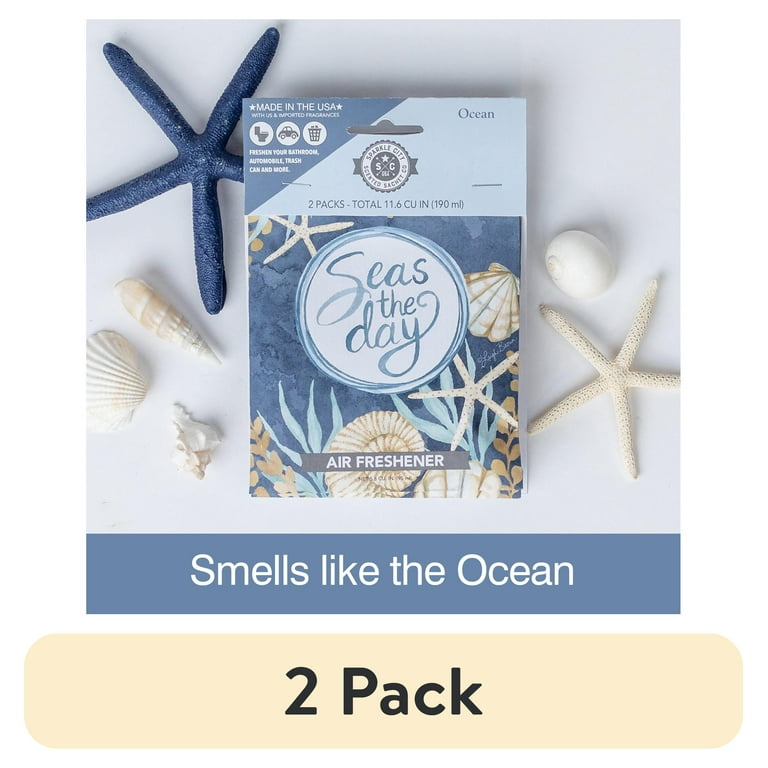 Live In The Moment Air Freshener- Jasmine Scented Live In The Moment Air Freshener- Jasmine Scented