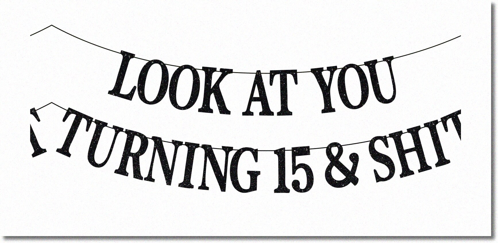 Sparkling 15th Birthday Celebration Set - Vibrant Cheers to 15 Years! Level Up the Fun with Teen Boys Girls Funny Party Decorations Backdrop Gifts in Black Glitter.