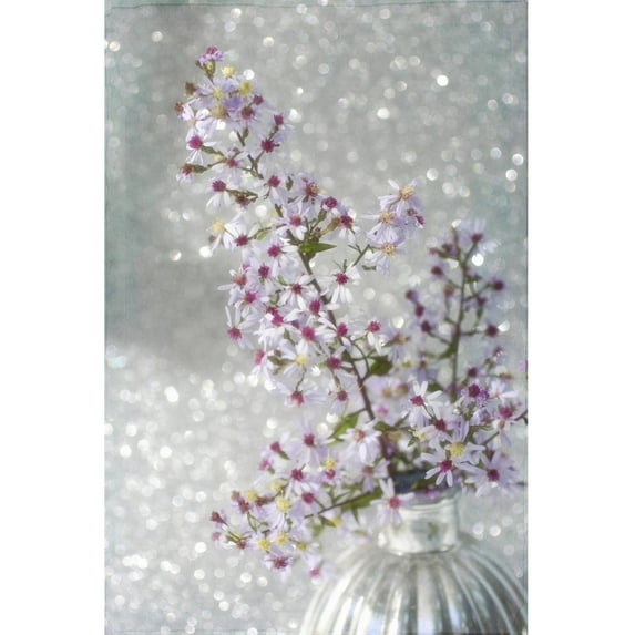 "Sparkling Asters" Painting Print on Wrapped Canvas