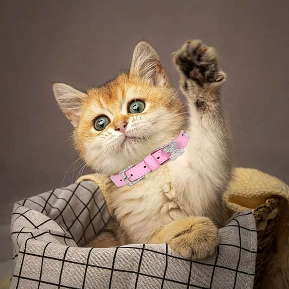 Sparkling Bone Design Pet Collar with Buckle Closure for Dogs and Cats Comfortable Adjustable Nylon Strap