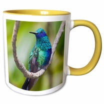 3drose, Sparkling Violetear Hummingbird., 15oz Two-tone Yellow Mug