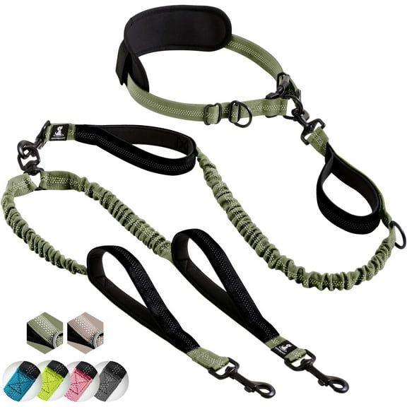SparklyPets Hands Free Double Dog Leash Dual Dog Leash for Medium and Large Dogs Dog Leash for 2 Dogs with Padded Handles, Reflective Stitches, No Pull, Tangle Free (Green Range, for 2 Dogs)