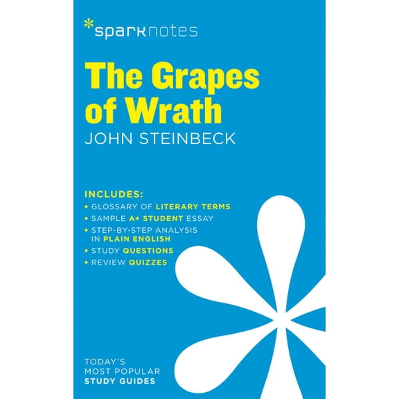 Sparknotes Literature Guide The Grapes of Wrath Sparknotes Literature Guide, Book 28, (Paperback)