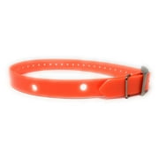Ac Dc Dog Collar