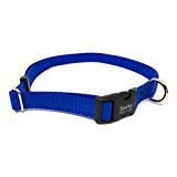 Sparky Pet Co 1" Universal Clip-N-Go Adjustable Nylon Dog Collars (Blue)