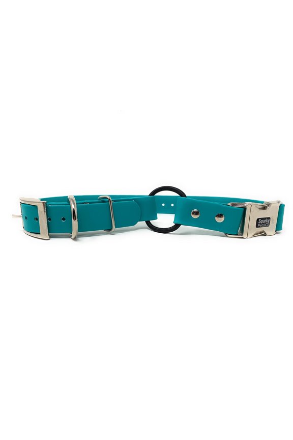 - Zeus ECollar Replacement Strap - Bungee Loop Dog Collar - Waterproof Biothane - Adjustable - Double Buckle - Quick Snap Metal Clasp - for Invisible Fence Systems 1"x 30" (Teal)