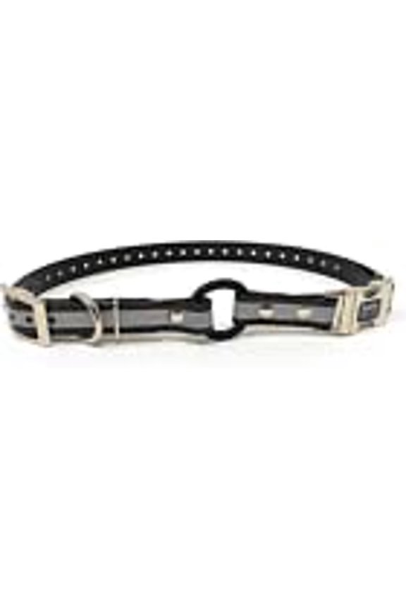 - Zeus ECollar Replacement Strap Bungee Loop Dog Collar Waterproof Biothane Adjustable Double Buckle - Quick Snap Metal Clasp - for Invisible Fence Systems 3/4" x 28" Blue Reflective