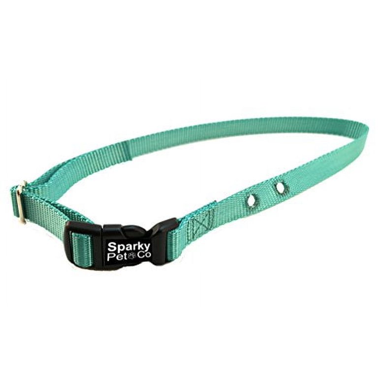 Petco shock clearance collar fence