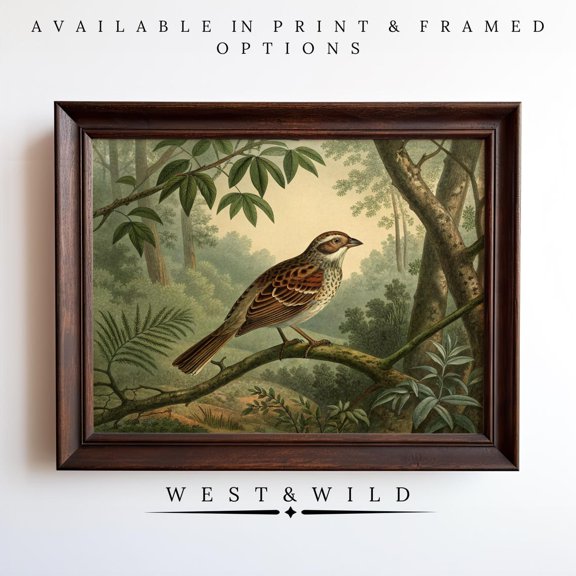 Sparrow Bird Print Vintage Wall Art Rich Sparrow Artwork Of Gallery Illustration For Country Home, Unframed Paper Print