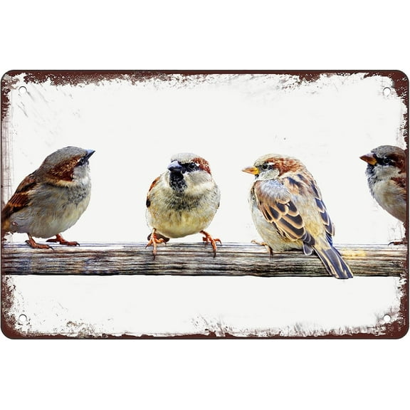 Sparrow Perch Birds On A Wire Tin Sign Retro Poster Bird Vintage Room Decor Iron Painting Metal Signs For Farmhouse Kitchen Decor Bathroom Man Cave Decor Cafe Garage Coffe Bar Wall Decor 8x12 Inch