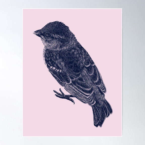 Sparrow Poster Wall Art, Modern Wall Decor For Living Room Bedroom, 8x12 UNFRAMED