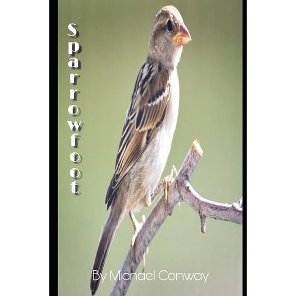Sparrowfoot (Paperback)