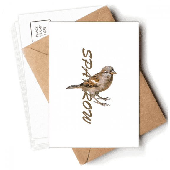 Sparrows Birds Animals Food Pause Postcards Envelopes Blank Note Cards Mailing